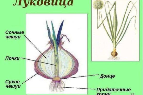 Кракен маркетплейс kr2web in