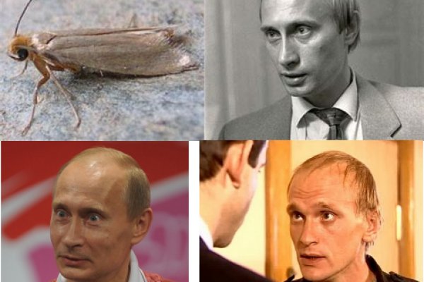 Каталог сайтов супернет