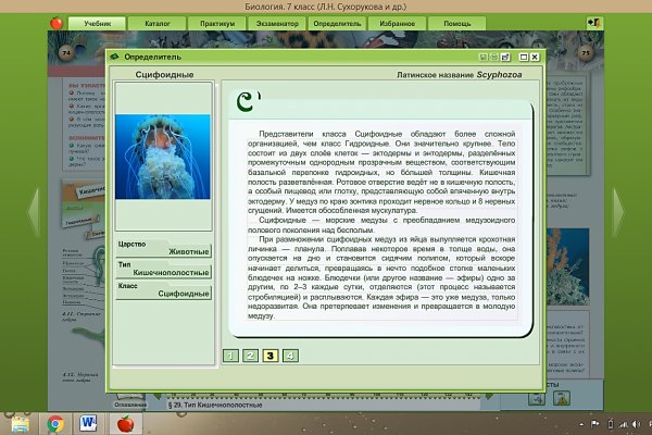 Кракен зеркало тор