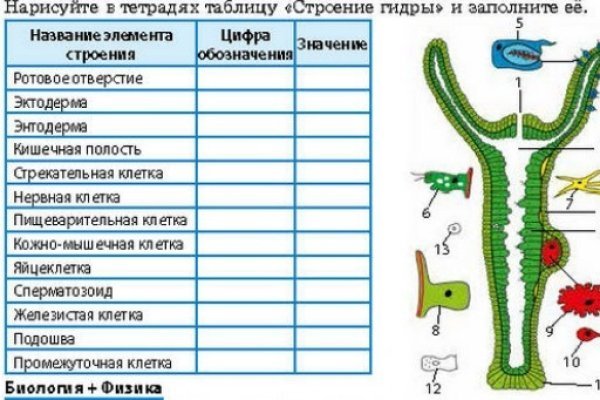 Кракен супернет маркет плейс