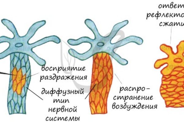 Кракен сайт супернет